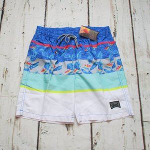 Beautiful Giant Tropical Island Swim Trunks